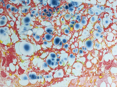 Untitled I by Tish Douzart | Marbled Monoprint Untitled I
